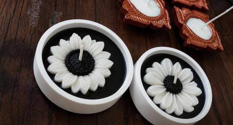 Daisy Bloom